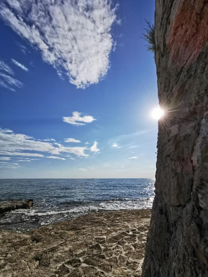 Nina Deluxe Superior 5 Star Apartment, Your Piece Of Heaven By The Sea & Park Новиград Экстерьер фото