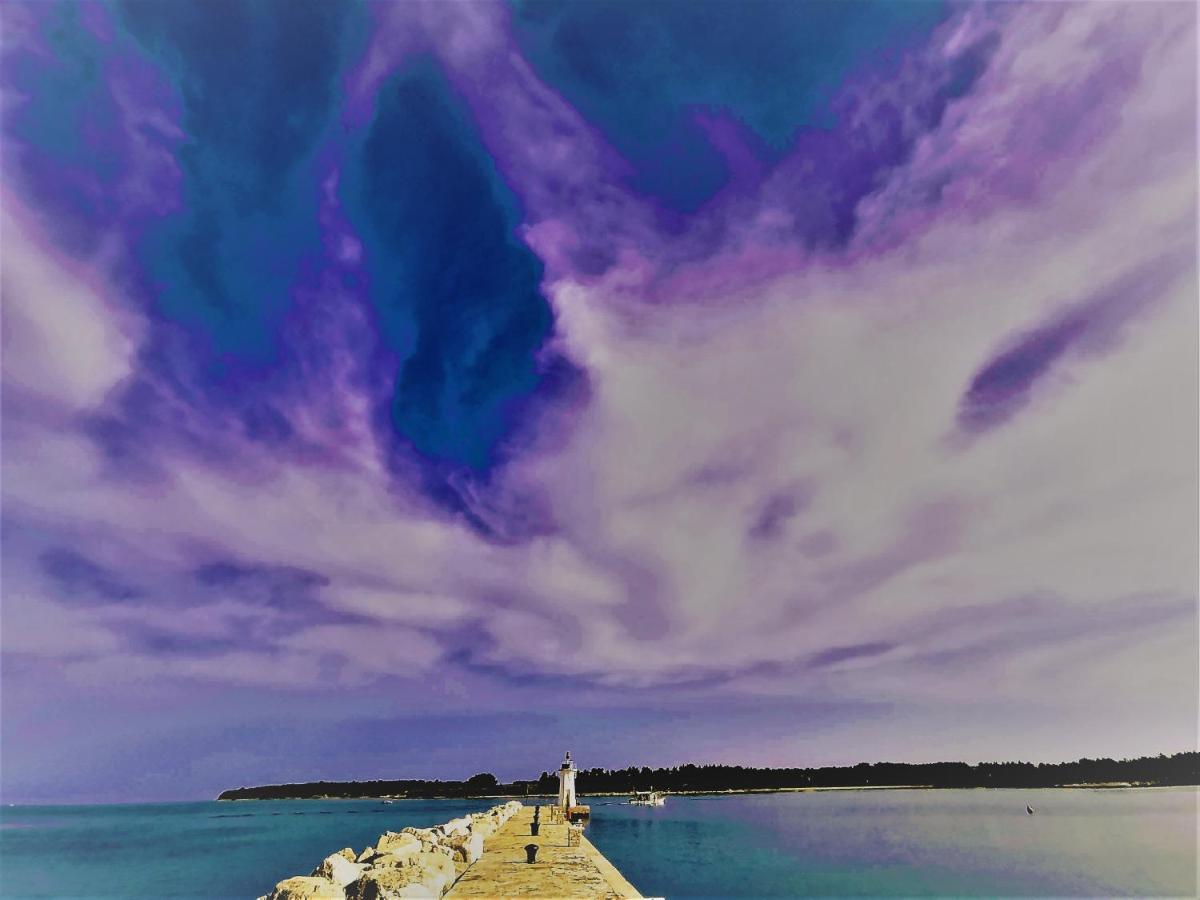 Nina Deluxe Superior 5 Star Apartment, Your Piece Of Heaven By The Sea & Park Новиград Экстерьер фото